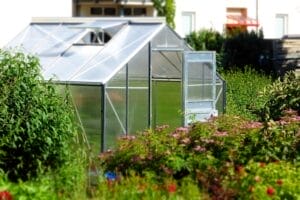 Top 5 Greenhouse Kits For Organic Farmers